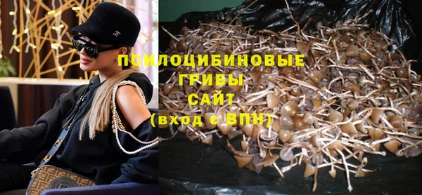 первитин Белокуриха