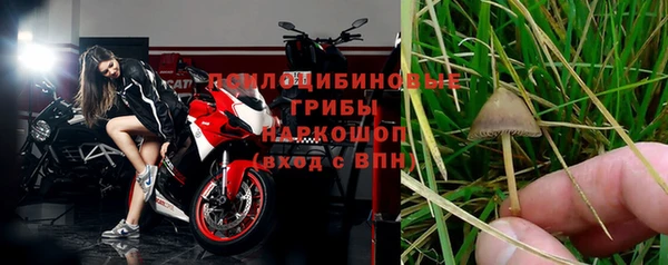 прущие крисы Беломорск