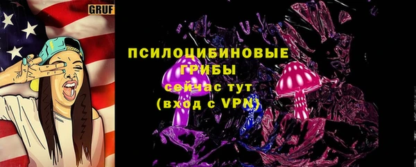 винт Богородицк