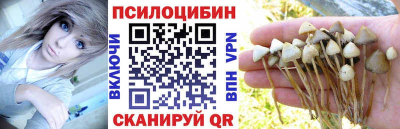 Галлюциногенные грибы Psilocybe  Санкт-Петербург 